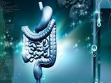 Natural Herbs To Boost Gut Health