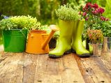 Gardening Mistakes You Didn T Know You Were Making