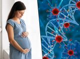 The Right Time To Get Pregnant After Recovering From Covid 19