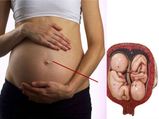 Foods That Increase Fertility For Conceiving Twins In Tamil