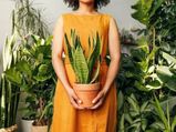 Tips On Selecting The Right House Plants