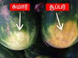 நல்ல சுவையான தா்பூசணி வாங்கும் போது கவனிக்க வேண்டிய சில முக்கியமான விஷயங்கள்!