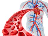 Low Platelet Level Know How To Increase Your Platelet Count Naturally In Tamil