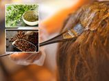 Natural Hair Dyes To Colour Your Hair Black And Brown In Tamil