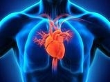 Silent Signs Of Heart Attack In Tamil