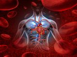 Heart Healthy Diets To Ward Off Cardiovascular Diseases In Tamil