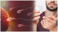 The Effects Of Diabetes On Male Fertility In Tamil