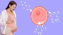 Obesity And Fertility Can You Get Pregnant When Overweight Affect Men Women In Tamil
