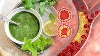 Coriander Mint Chutney To Reduce Cholesterol Levels Know Its Benefits And Preparation In Tamil