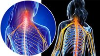 Foods That Heal Nerve Damage In Tamil