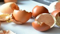 Benefits And Risks Of Eating Egg Shells In Tamil