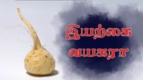 இயற்கை வயாகராவான இந்த வேரின் பொடி உங்கள் உடலில் என்னென்ன அதிசயங்களை செய்கிறது தெரியுமா?
