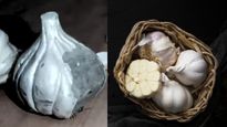 Fake Garlic Alert Tips To Identify The Original Garlic In Tamil