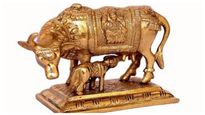 Vastu Tips For Placing Of Cow And Calf Statue Kamdhenu Idol