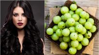 கேரள பெண்களின் நீளமான முடியின் முக்கிய ரகசியம் நெல்லிக்காயை வைத்து செய்யும் இதுதான்... ட்ரை பண்ணி பாருங்க...!