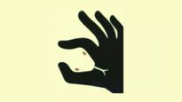Optical Illusion What You See First Will Reveal You Are Kind Hearted Or Seek Revenge