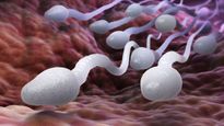 Doctor Reveals Top 4 Foods To Increase Sperm Count And Motility