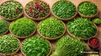 Which Leafy Greens Are Best For Which Diseases Dr Pillai Shares