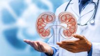 World Kidney Day 2026: சிறுநீரகங்கள் ஆரோக்கியமா இருக்கணுமா? அப்ப டாக்டர் சொல்ற இந்த 5 உணவுகளை சாப்பிடுங்க..