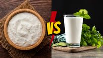 Curd Vs Buttermilk Which Is Better For Weight Loss