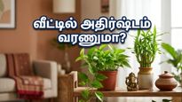 Amazon Great Summer Sale Best Vastu Plants Home Decor Tips 2026 011