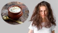 Hair Care Tips Top 5 Homemade Curd Hair Masks To Get Smooth Hair