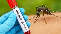 National Dengue Day 2026: டெங்கு காய்ச்சல் பற்றி அவசியம் தெரிந்து கொள்ள வேண்டியவைகள்!