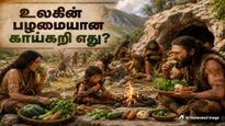 What Is The Oldest Vegetable Of The World