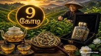 9 கோடி ரூபாய்க்கு விற்கப்படும் டீத்தூள் - இந்த டீத்தூள் எந்த நாட்டில் விளைகிறது? இதன் ஸ்பெஷல் என்ன தெரியுமா?
