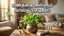 Vastu Plants For Home Summer Deals Money Luck Tips 2026 011