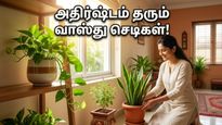 Vastu Plants For Home Summer Tips Prosperity Cooling 2026 011