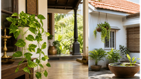 Vastu Tips For Money Plant Placement And Summer Cooling Remedies 2026 011
