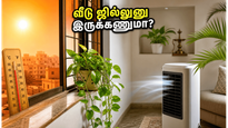 Vastu Tips To Keep Home Cool During Summer 2026 011