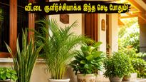 Vastu Tips To Keep Home Cool In Summer 2026 Plants Direction Guide 011