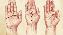 Palmistry Test Meaning Of M Y And X Marks On Your Palm