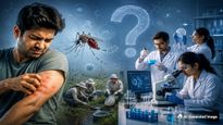 Why Do Mosquitoes Bite Some People More Than Others