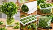 How To Keep Coriander Fresh For Weeks 5 Easy Kitchen Hacks