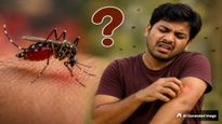 கொசுக்களுக்கு ஏன் மனித இரத்தம் தேவைப்படுகிறது? கொசுக்கள் கடித்தால் ஏன் அரிப்பு ஏற்படுகிறது தெரியுமா?