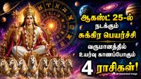 Venus Transit In Chithirai Nakshtra On 25 August 2026 List Of Lucky Zodiac Signs