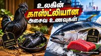 Most Expensive Non Veg Foods In The World