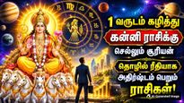 Sun Transit In Virgo 2026 Zodiac Signs That Will Get Lucky Professionally