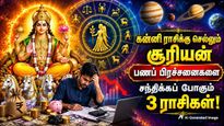 Sun Transit In Virgo 2026 These Zodiac Signs Will Face Money Problems