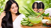Top 5 Diy Aloe Vera Masks For Hair Thinning