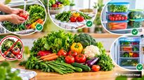 Best Ways To Increase The Shelf Life Of Vegetables