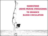 రక్తప్రసరణ మెరుగుపడేందుకు (హాండ్ స్టాండ్) అధోముఖ వృక్షాసనం