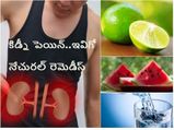 కిడ్నీ పెయిన్ తో బాధపడుతున్నారా..?నొప్పిని పోగేట్టే నేచురల్ రెమెడీస్..!