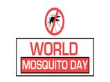 World Mosquito Day 2021:దోమలకూ ఓ రోజు వస్తుందని మీకు తెలుసా...