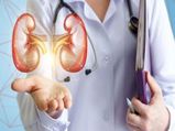 World Kidney Day 2023: కిడ్నీ వైఫల్యం, కారణాలు మరియు చికిత్స ఎంపిక, ప్రారంభ సంకేతాలను తెలుసుక
