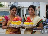 Bathukamma Festival 2021: బతుకమ్మ పూలలో ఎన్ని గుణాలుంటాయో తెలుసా...