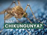 చికున్‌గున్యా అంటే ఏమిటి? కారణాలు, లక్షణాలు, సమస్యలు, చికిత్సలు మరియు నివారణ